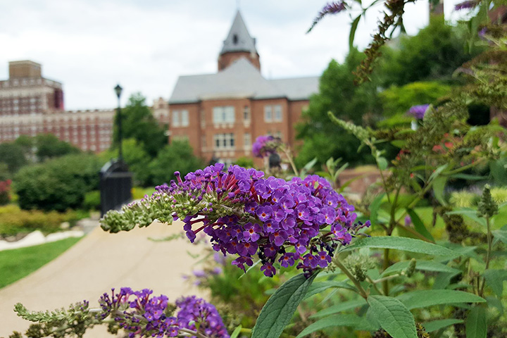 SLU Grounds