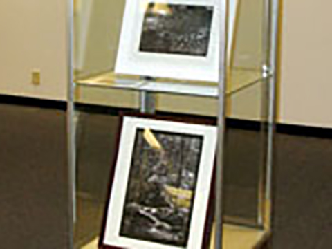 Exhibit Case - Square Tower